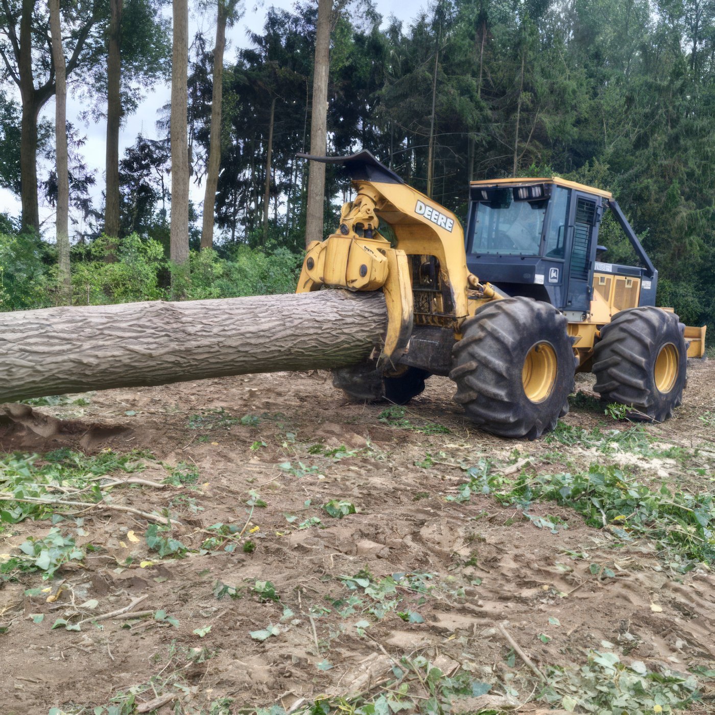 Bomen rooien met uitsleepmachine